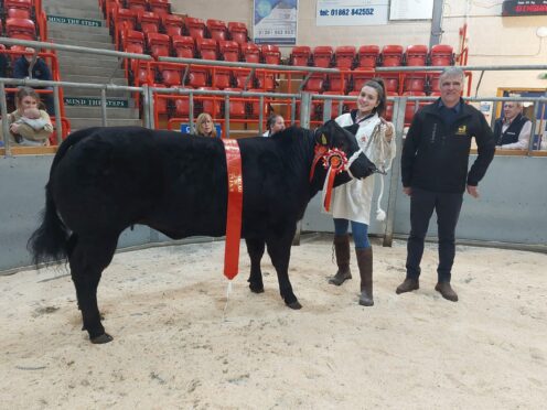 Tilly Munro stood overall champion last year when tapped out by judge Michael Robertson.