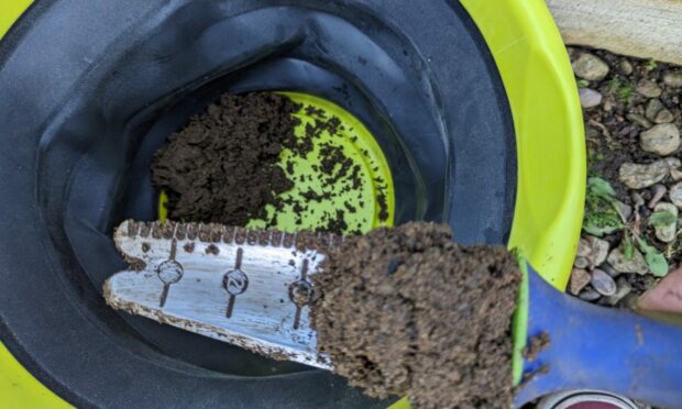 When soil testing, discard the upper two inches of soil.