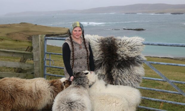 Helen Hart on Shetland with sheep with sea in background