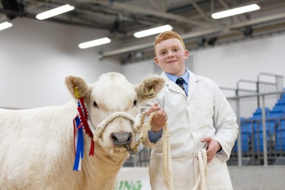 Finlay Hunter stood overall champion with the best overwintered animal in the competition. Image: Melissa Irvine