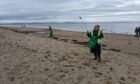 Green Hive volunteers on a beach clean at  Nairn.