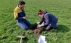 NatureScot staff undergoing research as part of its Farming with Nature programme.