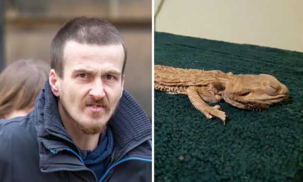 Gary Ross neglected his bearded dragon named Coco. Image: JasperImage/SSPCA