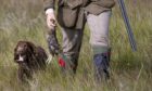 Celebrated Angus Glens estate punished for ‘wildlife crime against
birds’