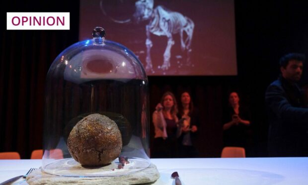 A meatball made using genetic code from the mammoth is seen at the Nemo science museum in Amsterdam (Image: Mike Corder/AP/Shutterstock)