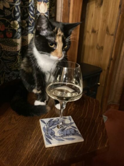 Cool. Sweet. Refreshing... And some wine! Millie keeps an eye on Marian and Trevor Campbell’s glasses in Aboyne.