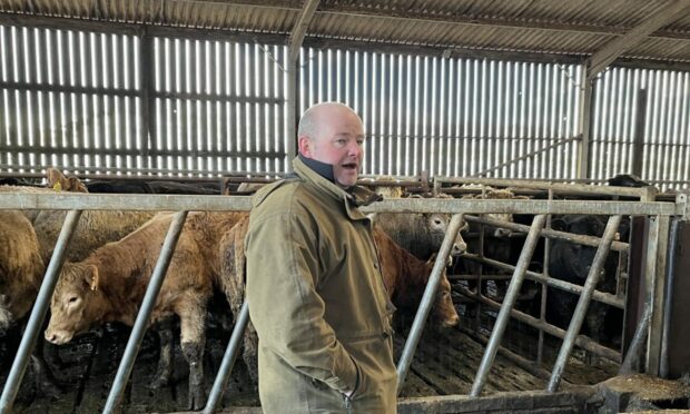 Stockman Thomas MacNeill explains the cattle system at Craigens Farm to monitor farm attendees.