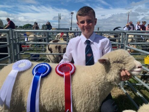 Finn Davidson pictured with his reserve champion at Keith Show.