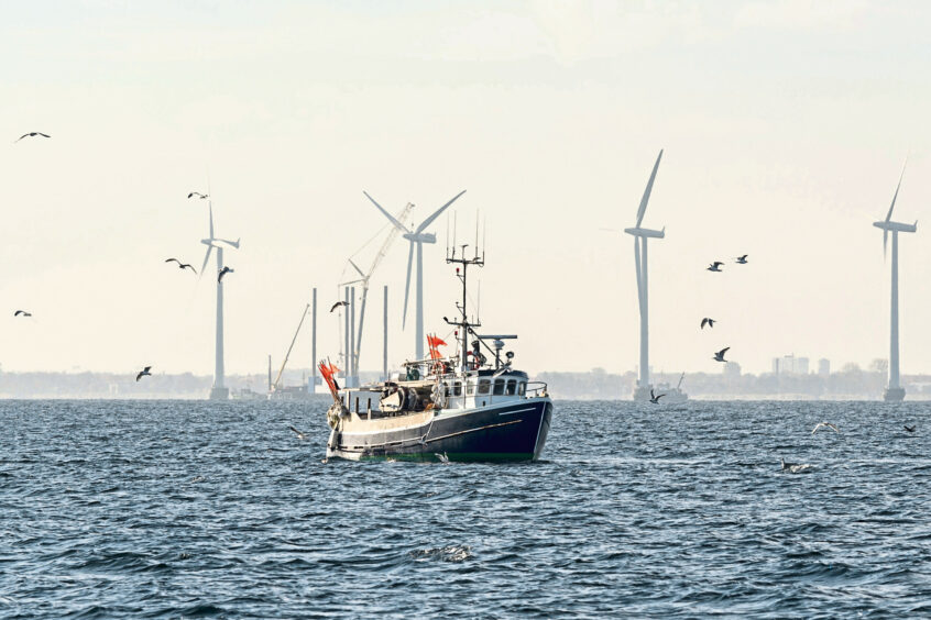 Fishing boat surrounded by seagulls with wind turbines in background.