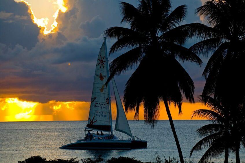  Cool Runnings Catamaran Cruise on the ocean in Barbados as the sun sets.
