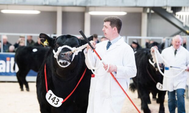 Andrew Adam from Newhouse of Glamis is set to judge the Aberdeen-Angus classes.