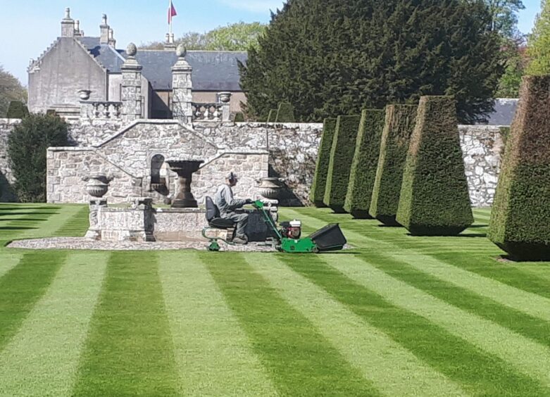 Man creating stripes on grass with a sit-on cylinder mower.