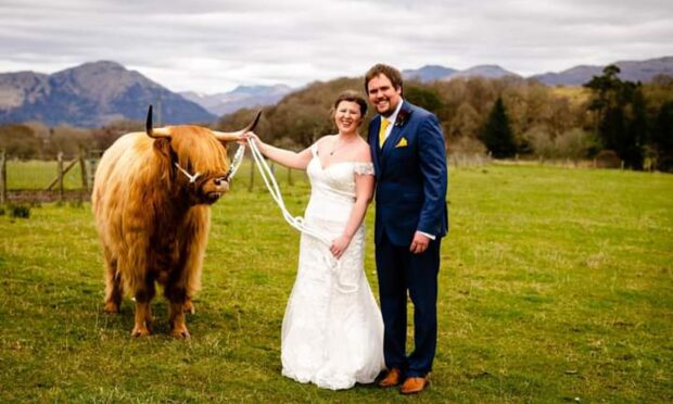 Amber and David Bragg with a very special heifer on their special day. Image by Debbie Thornton Photography.