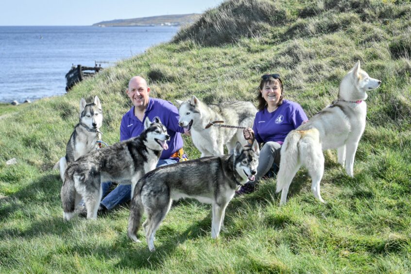 Graham and Sandra Robinson with their five rescue sled dogs, Dashik,Tulok,Zienna,Tikanni and Storm, pictured in Burghead. Image: Jason Hedges/DCThomson