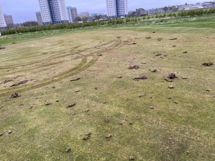 The 8th green at King's Link Golf Course left pockmarked and scarred by tyre marks by vandals.