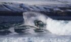 surfing thurso