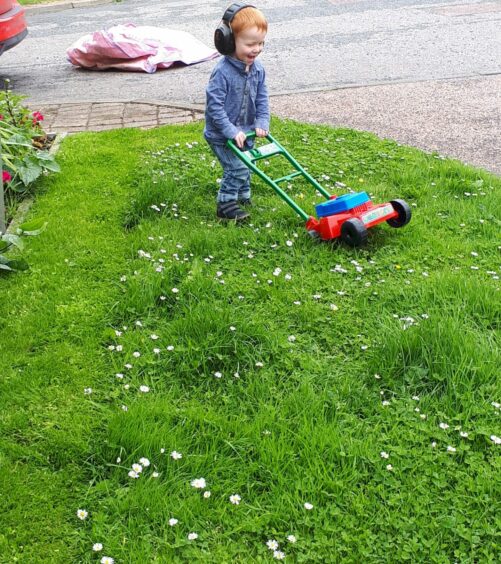 Young boy "mowing" the lawn with a toy mower.