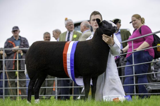 The Nairn 2019 champion of champions from the Sharp brothers. Image: Anne MacPherson
