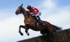 Ahoy Senor is set to run at Aintree on the first day of the Grand National festival.