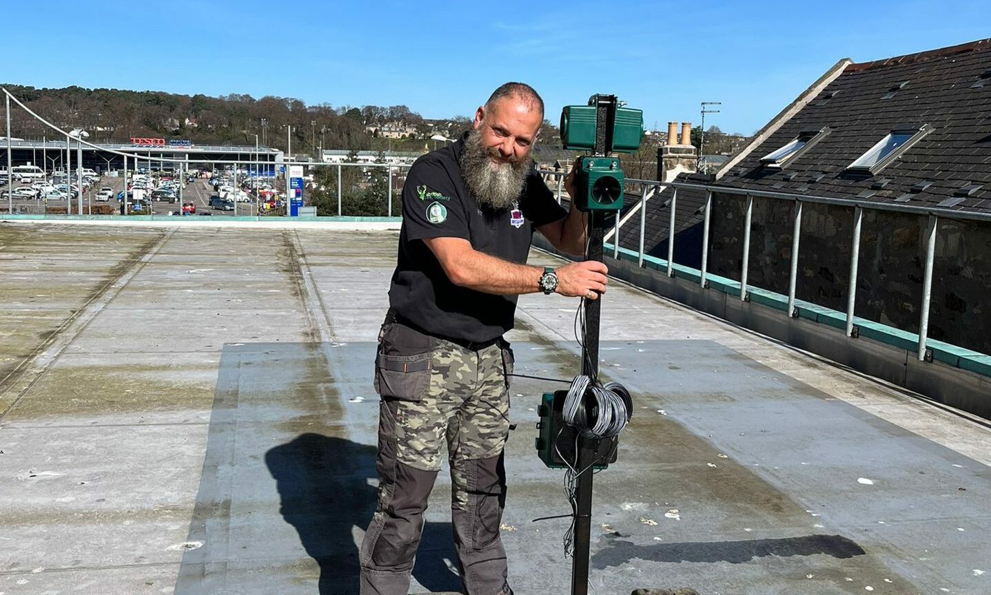 Rob Teasdale installing gull scaring device on roof. 