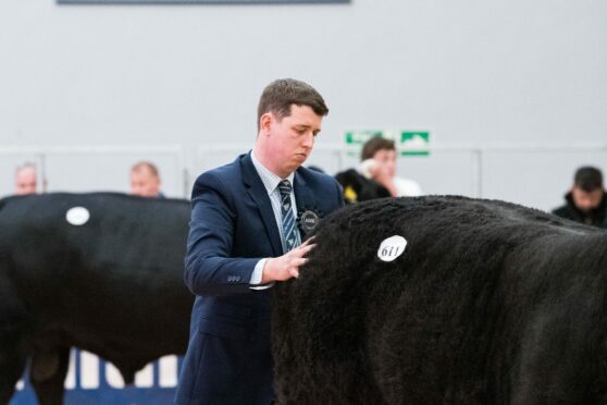 Aberdeen-Angus judge Andrew Adam from Newhouse of Glamis.