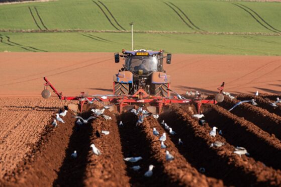 Potato and spring barley planting has been delayed in the UK and elsewhere. Wullie Marr/DCT Media