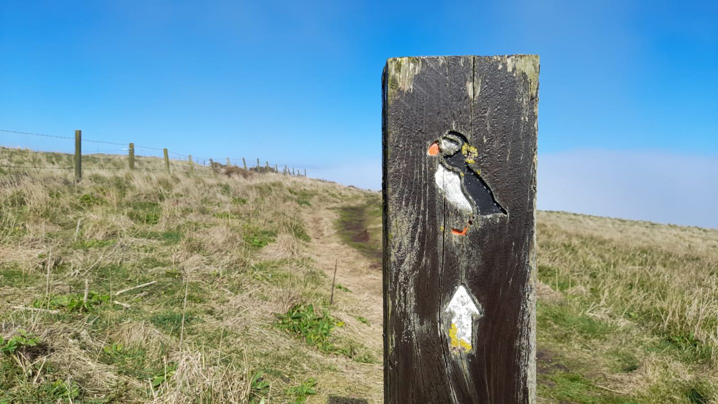 A signpost at the Fowlsheugh nature reserve, pointing towards the best spot for puffin-watching.