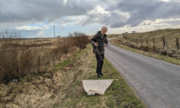 Retired vet and local researcher Graham Charlesworth performs a tick drag near his home in South Uist.