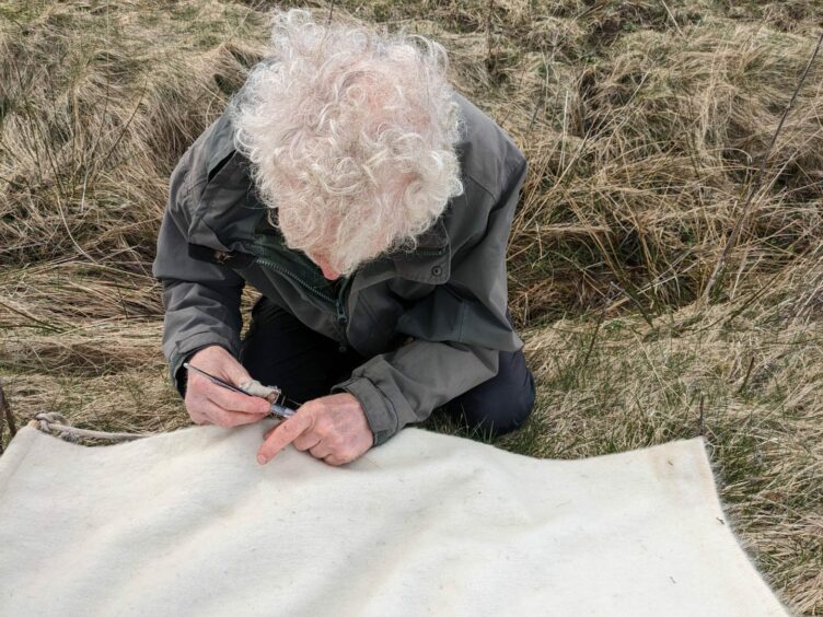 Graham Charlesworth checks a large sheet for ticks after a drag