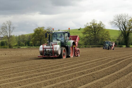 More than 75% of Britain's seed potato exports comes from Scotland