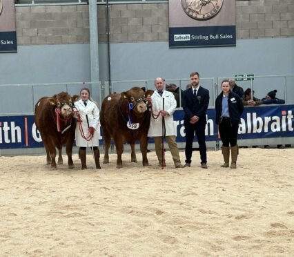 The Davidson family from Corsairtly stood overall champion and the Irvines from Anside took reserve.