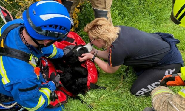 Nicola Jones reunited with Bailey. Image: Scottish Fire and Rescue Service.