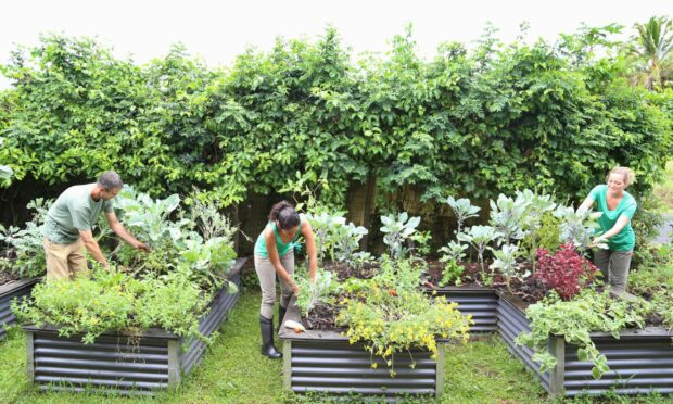 Green thumbs at the ready.

Image: Shutterstock