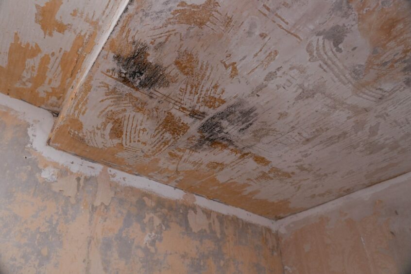 All of the bedroom wallpaper had to be removed due to the leak. Image: Darrell Benns/ DC Thomson.