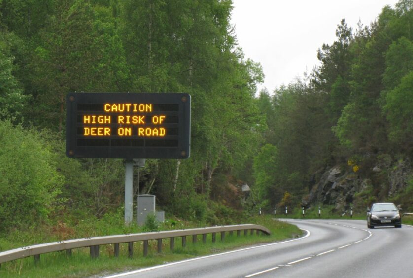 A variable message sign could be used to reduce the number of deer vehicle collisions on roads. The numbers did not reduce during Covid. 