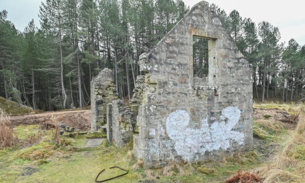 Exterior view of ruined Millie Bothy with woodland behind.
