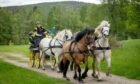 A carriage being pulled by a group of horses through Balmoral Estate. 
Image: Kath Flannery/DC Thomson