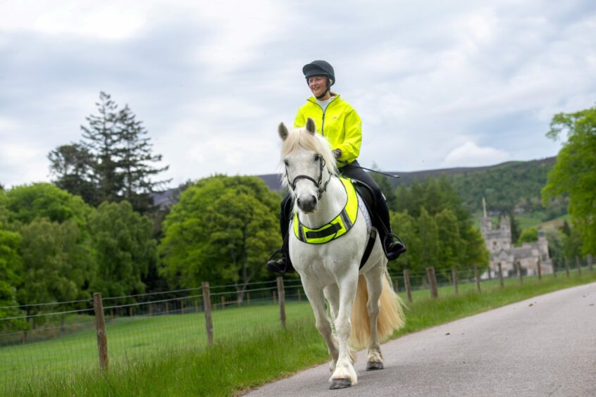 A rider and horse in matching yellow.