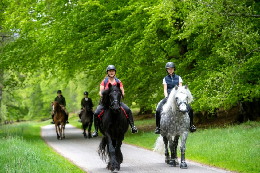 Riders exploring some of the royal estate.