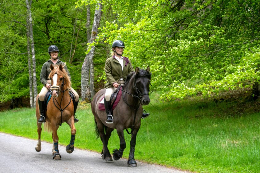 Riders surrounded by green woodland scenery.