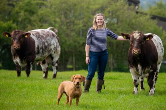 Sally Mair the new north area chair for Young Farmers, pictured at Kinnermit Farm, Turriff.  Image: Kami Thomson/DC Thomson
