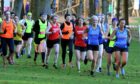 The Buchan Trail Marathon will return in August - bringing runners back to Aden Country Park like the Cross Country League did many years ago. Pictured: North Cross Country League meet, January 2020. Image: Chris Sumner/DC Thomson