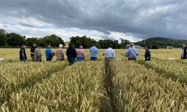 Farmers join a demonstration near Perth.
