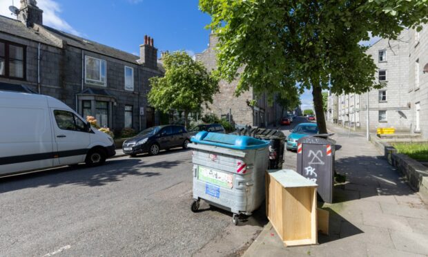 Three bins, that look tidy compared to reports of how they were a week ago. But some extra things are still lying by the side of the three business-sized bins.