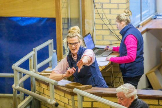 Auctioneer Helen Rickard sells for one last time at Forfar under Lawrie and Symington. Image: Steve MacDougall/DC Thomson