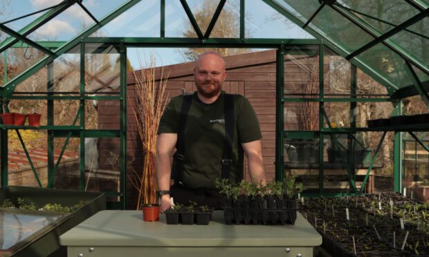Scott Smith teaching gardening skills on Beechgrove Garden.