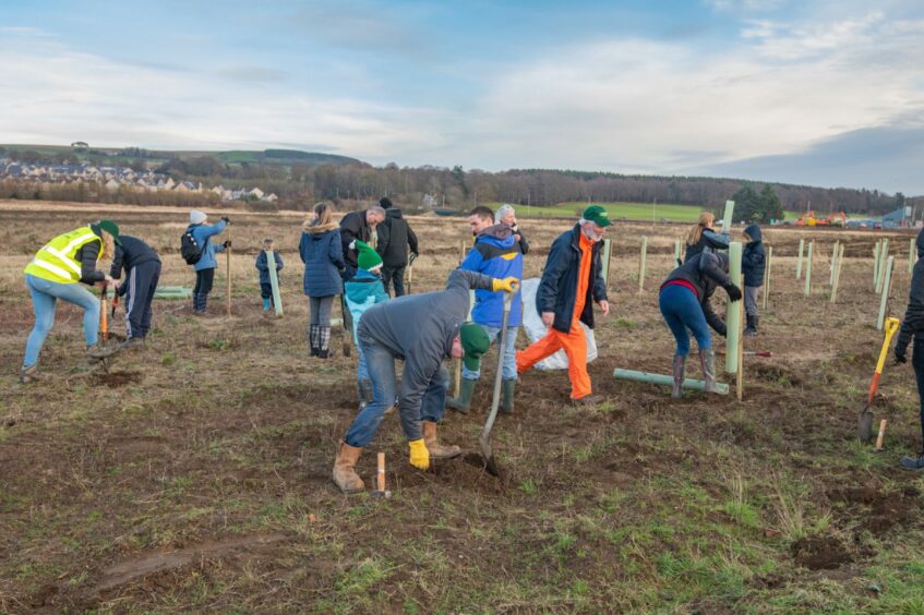 Tree planting at Ury Riverside Park 