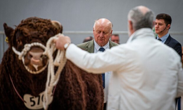Andrew Sleigh from Tarves judged the Salers. Image: Wullie Marr/ DC Thomson
