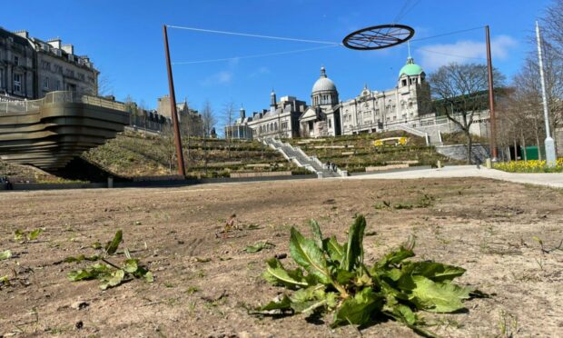 The sight of the bare mud in Union Terrace could soon be a thing of the past. Image: Ben Hendry/DC Thomson.