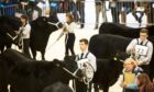 The Aberdeen-Angus Cattle Society is calling all budding young stockmen and women to sign up for the 2023 Youth Development Programme (YDP)